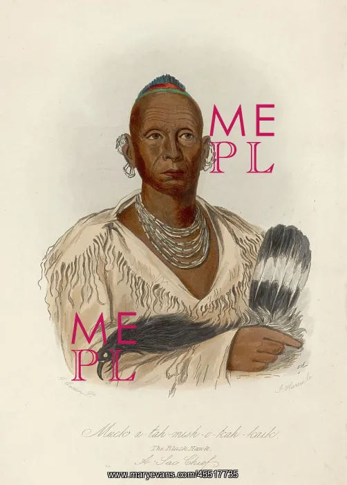 : SAC CHIEF. (translates as Black Hawk) a chief of the Sac people : SAC CHIEF. (translates as Black Hawk) a chief of the Sac people