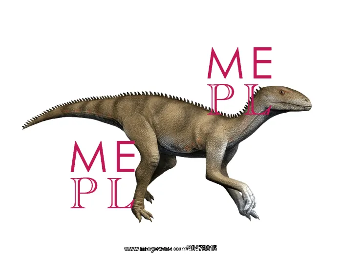 : Sacisaurus is an extinct dinosaur from the Late Triassic of : Sacisaurus is an extinct dinosaur from the Late Triassic of