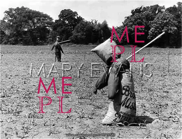 : SACK SCARECROWS : SACK SCARECROWS