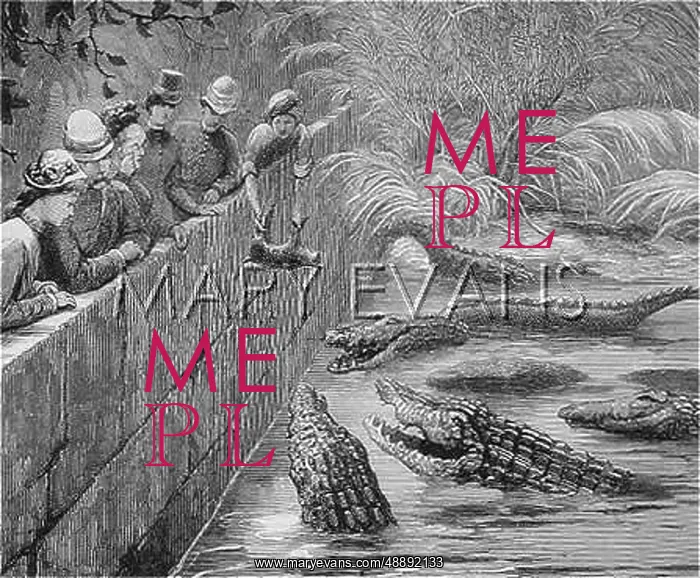 : SACRED ALLIGATORS 1878 : SACRED ALLIGATORS 1878
