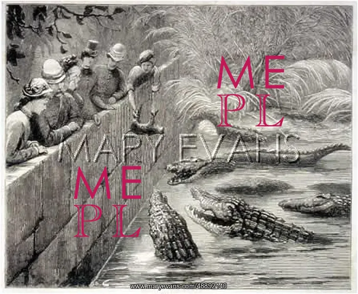 : SACRED ALLIGATORS FED : SACRED ALLIGATORS FED