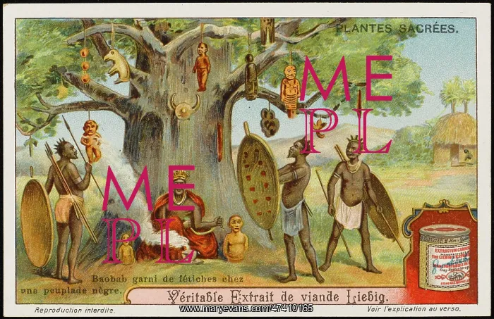 : SACRED BAOBAB : SACRED BAOBAB