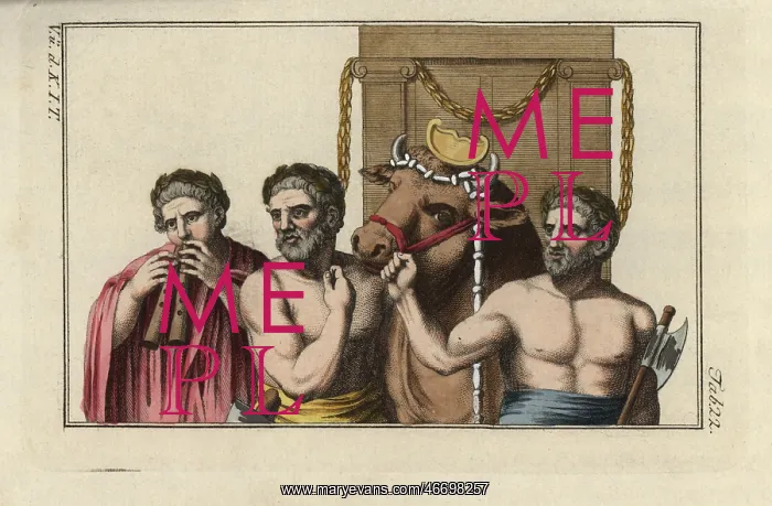 : Sacred bull ready for Roman sacrifice : Sacred bull ready for Roman sacrifice