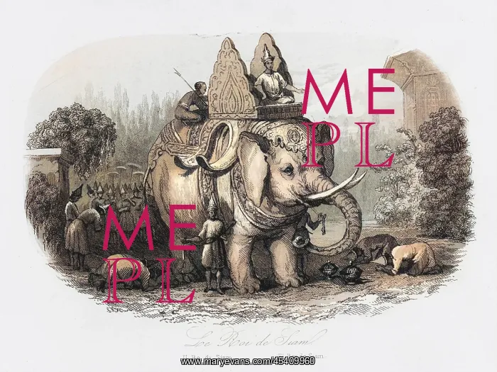  : Sacred elephant of the King of Siam