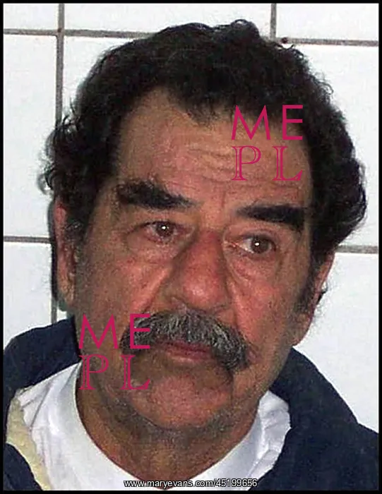 : Saddam Hussein shortly after his capture ? : Saddam Hussein shortly after his capture ?