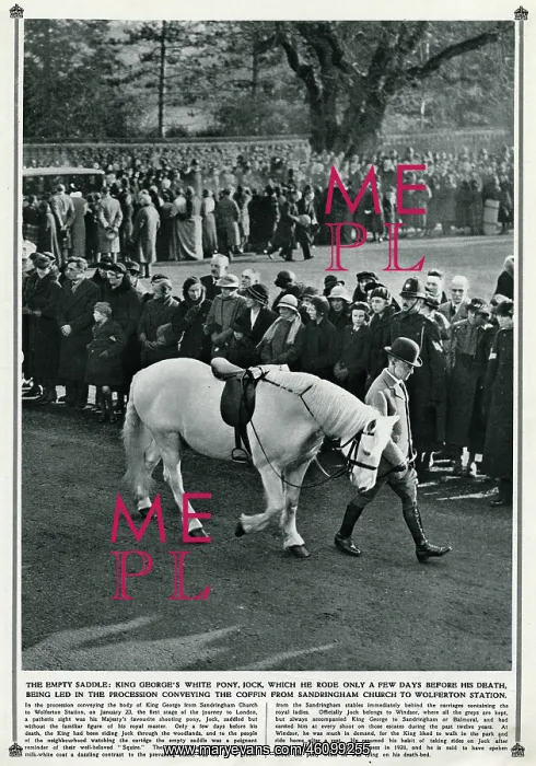 : Empty saddle: King George's white pony : Empty saddle: King George's white pony