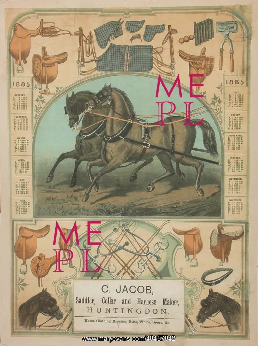 : Saddler and Harness Maker : Saddler and Harness Maker