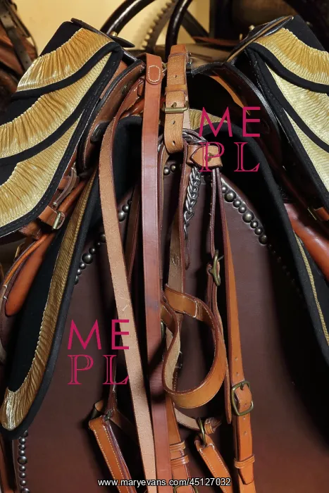 : Saddles and harnesses, Workshops of the Republican : Saddles and harnesses, Workshops of the Republican