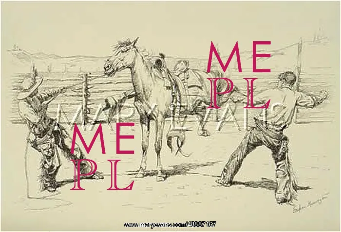 : SADDLING WILD HORSES : SADDLING WILD HORSES
