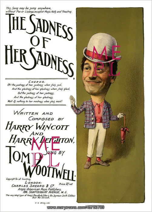  : The Sadness of her Sadness sung by Tom Woottwell