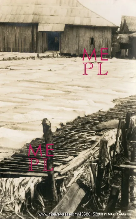  : Sago Industry of Sarawak