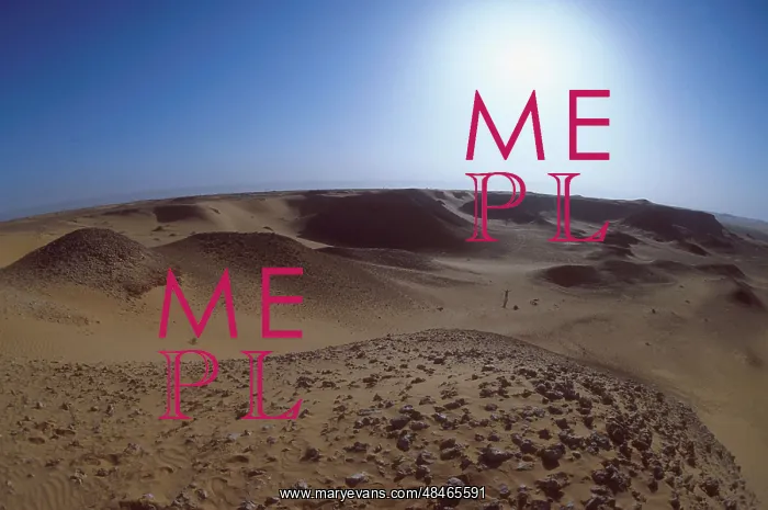 : Sahara desert in Algeria, 1985 : Sahara desert in Algeria, 1985