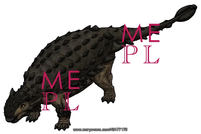: Saichania, a Mongolian ankylosaurid from the Cretaceous ? : Saichania, a Mongolian ankylosaurid from the Cretaceous ?