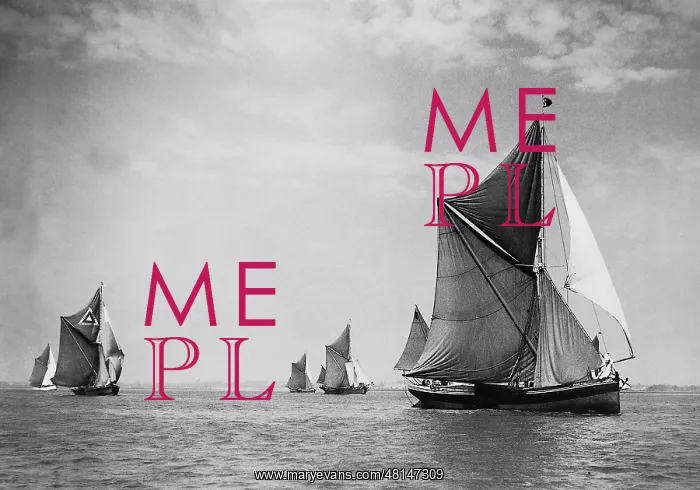 : Sailing Regatta, 1930 : Sailing Regatta, 1930