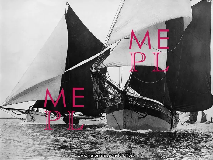 : Sailing Regatta on the Thames, 1934 : Sailing Regatta on the Thames, 1934
