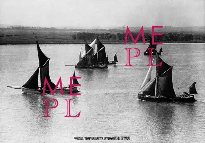  : Sailing regatta on the Thames, 1937