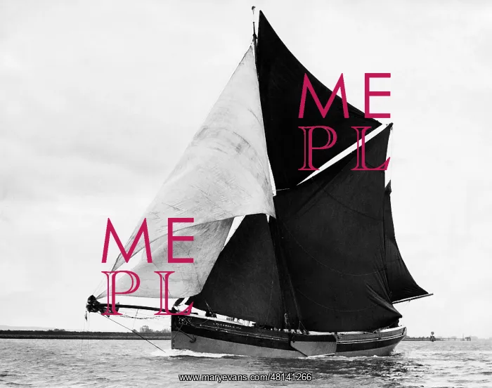 : Sailing Regatta on the Thames : Sailing Regatta on the Thames