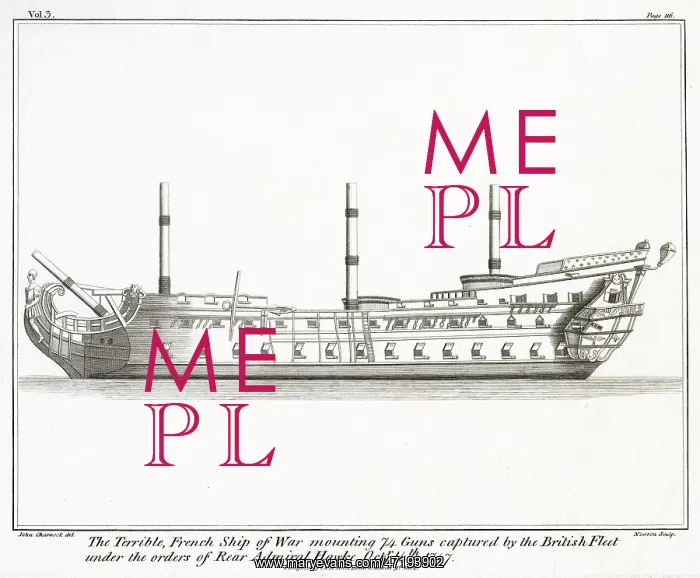 : SAILING SHIP / TERRIBLE : SAILING SHIP / TERRIBLE