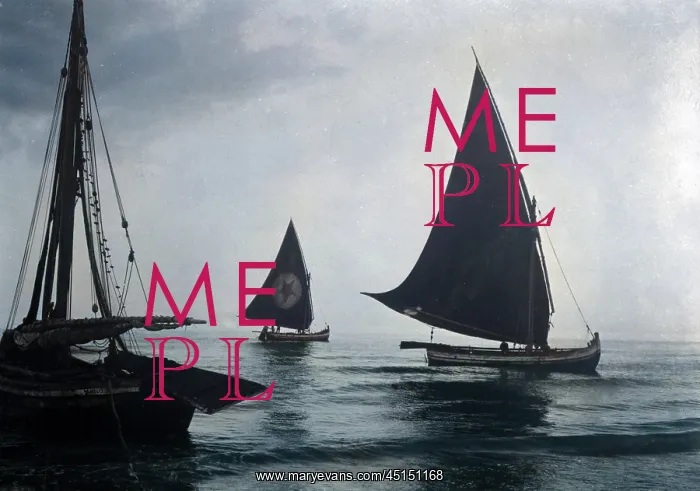 : Sailing Ships : Sailing Ships