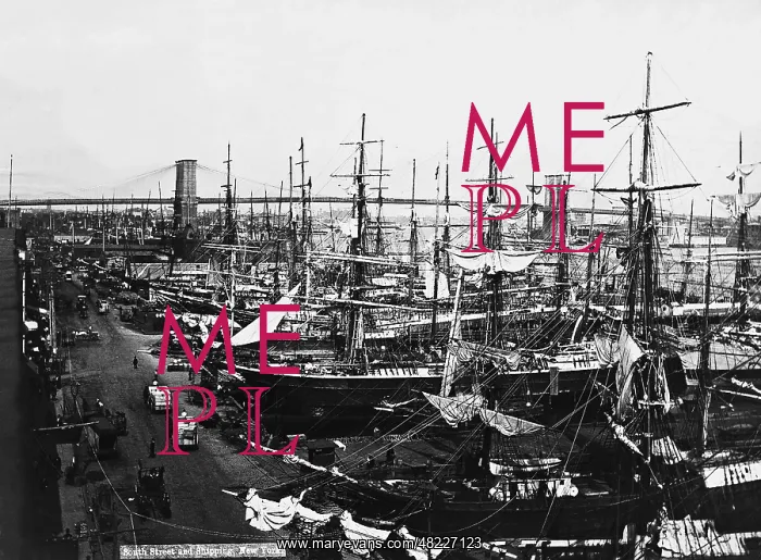 : Sailing ships in the port of New York : Sailing ships in the port of New York