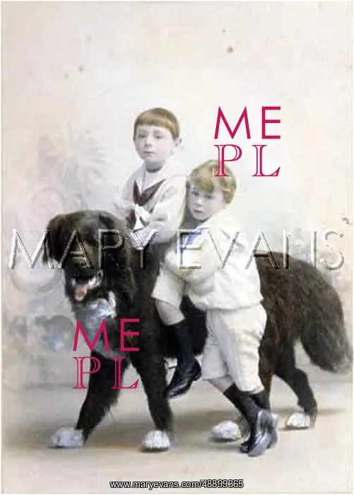 : SAILOR BOYS WITH DOG : SAILOR BOYS WITH DOG