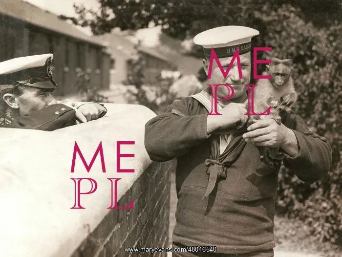 : Sailor of HMS Ganges with monkey mascot, WW1 : Sailor of HMS Ganges with monkey mascot, WW1