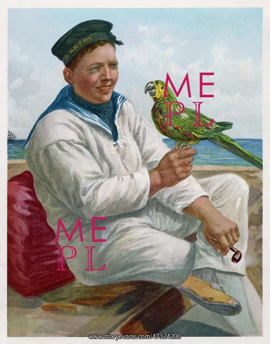 : SAILOR AND PARROT : SAILOR AND PARROT