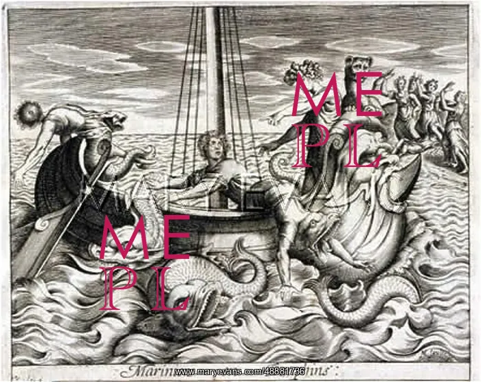: SAILORS INTO DOLPHINS : SAILORS INTO DOLPHINS