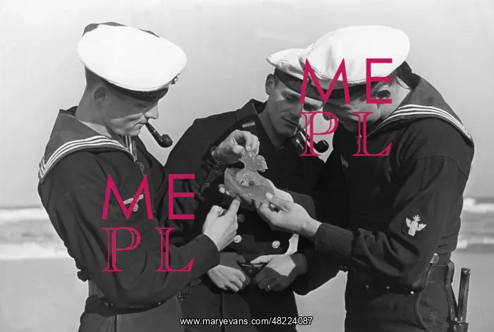 : Sailors look at a jellyfish : Sailors look at a jellyfish