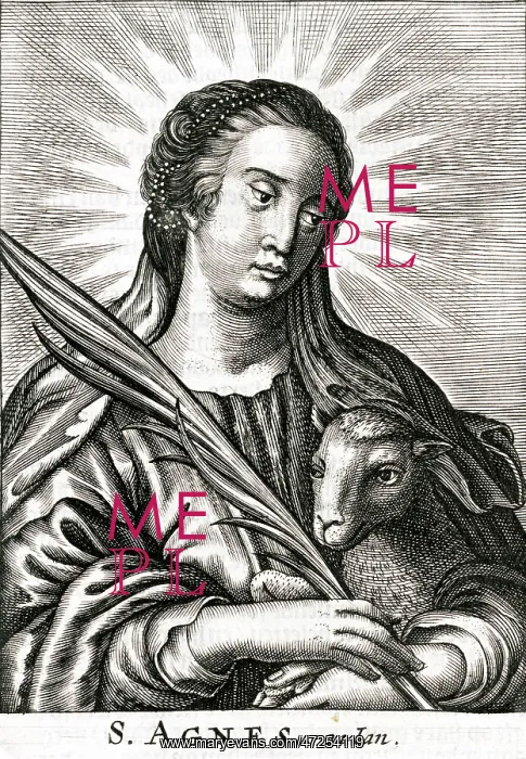 : SAINT AGNES : SAINT AGNES