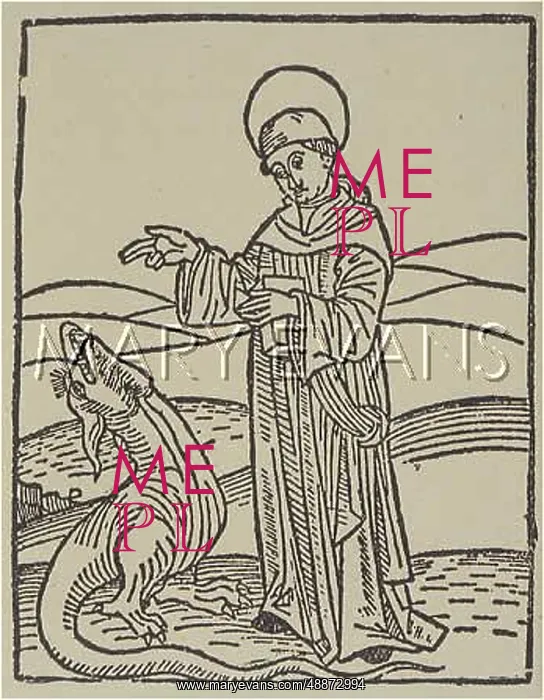  : SAINT AMAND D'ELNON