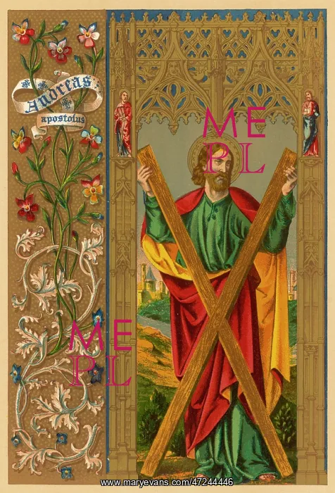 : SAINT ANDREW : SAINT ANDREW