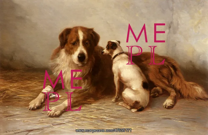  : Saint Bernard and Friend
