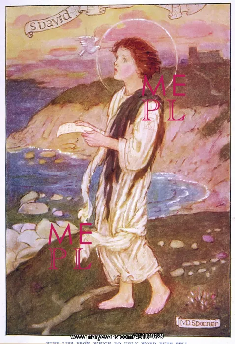 : SAINT DAVID : SAINT DAVID
