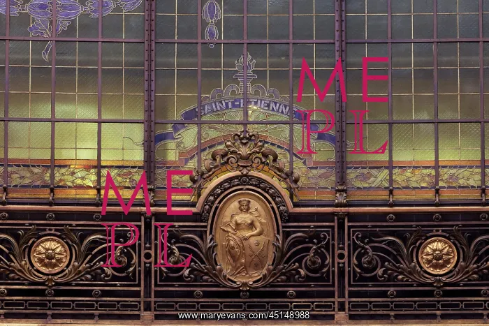 : Saint-Etienne emblem, Hall, Societe Generale, Paris, France : Saint-Etienne emblem, Hall, Societe Generale, Paris, France