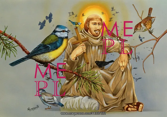 : Saint Francis of Assisi : Saint Francis of Assisi