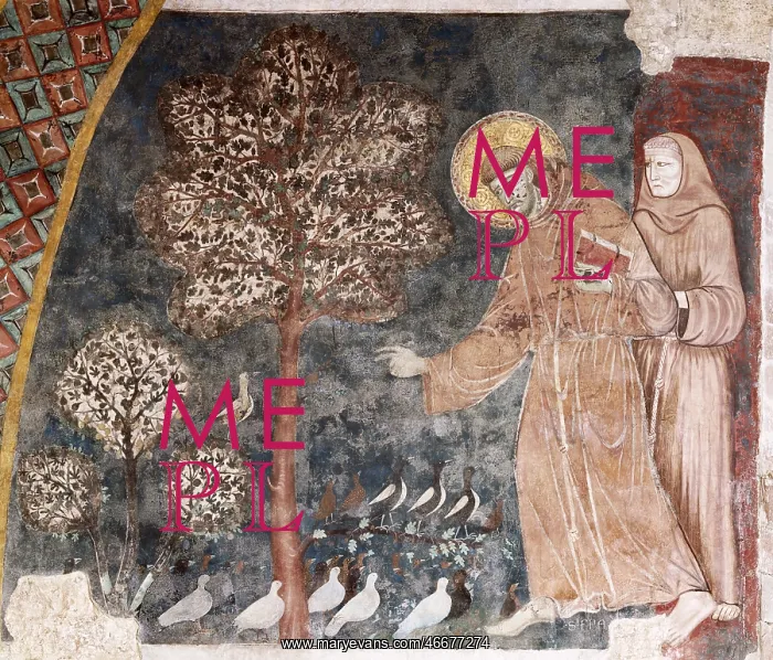 : Saint Francis of Assisi : Saint Francis of Assisi