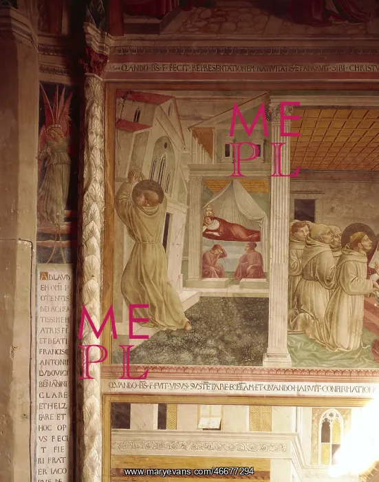 : Saint Francis of Assisi : Saint Francis of Assisi
