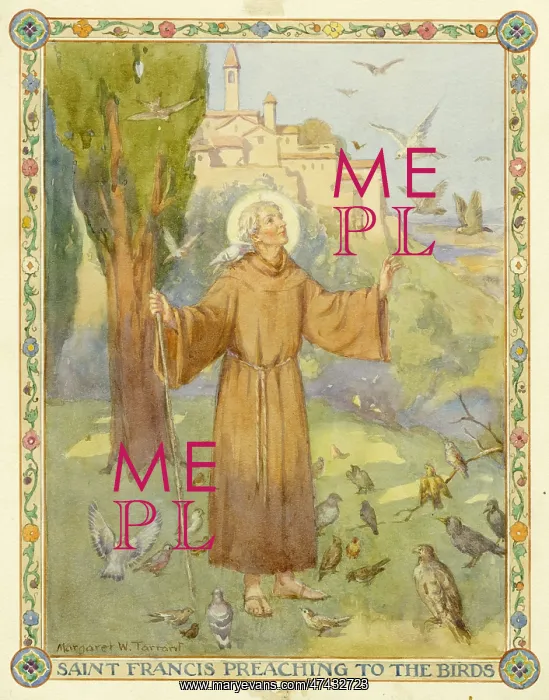  : Saint Francis preaching to the birds
