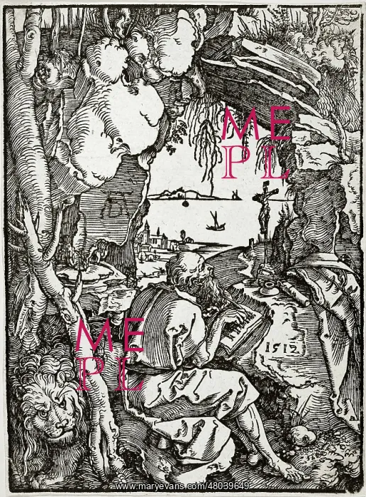 : Saint Jerome in a cave : Saint Jerome in a cave