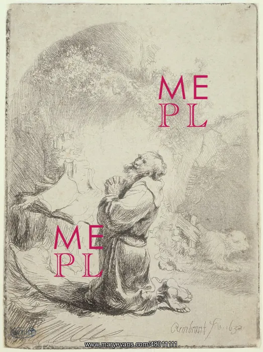 : Saint Jerome in prayer : Saint Jerome in prayer
