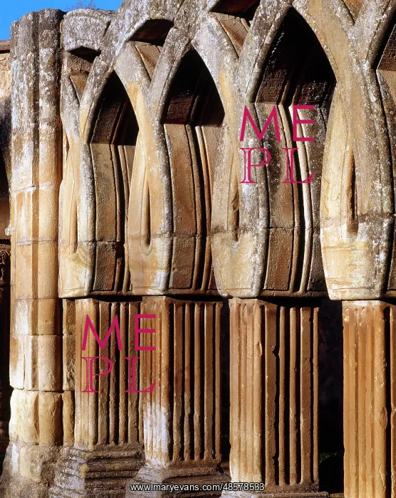 : Saint John of Douro. Intertwined arches. Soria. Castile and : Saint John of Douro. Intertwined arches. Soria. Castile and