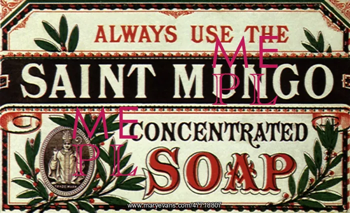  : Saint Mungo Soap