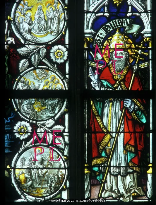 : Saint Pope Pius V : Saint Pope Pius V