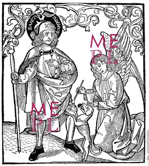 : Saint Roch is treated for the plague : Saint Roch is treated for the plague