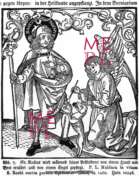 : Saint Rochus during the plague : Saint Rochus during the plague