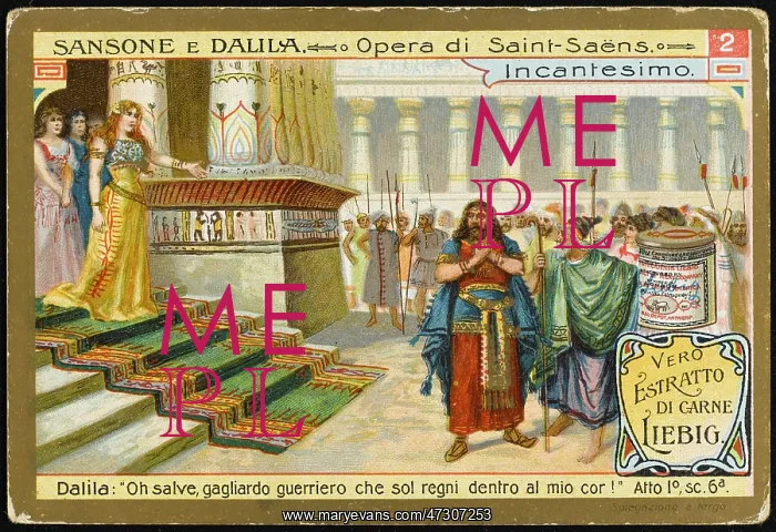 : Saint Saens - Samson : Saint Saens - Samson