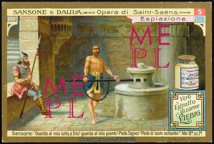 : Saint Saens - Samson : Saint Saens - Samson