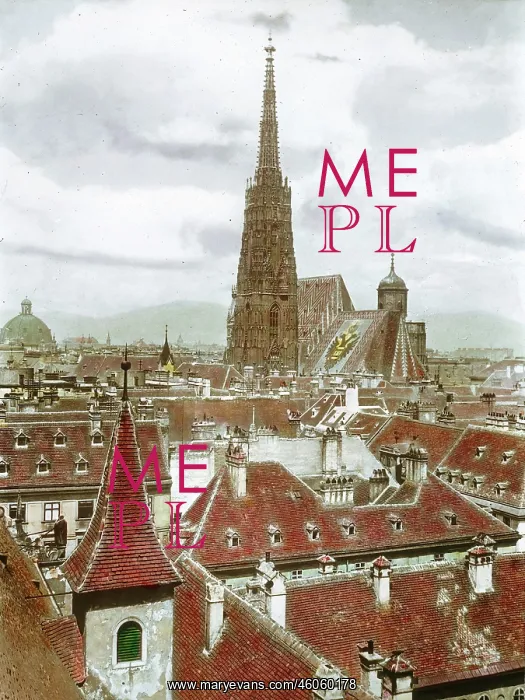 : Saint Stephen's Cathedral : Saint Stephen's Cathedral