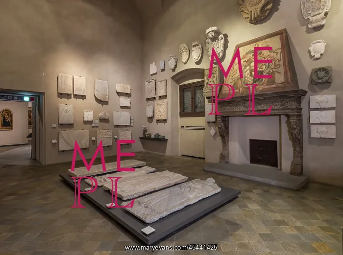 : Sala degli Stemmi, Palazzo Madama : Sala degli Stemmi, Palazzo Madama